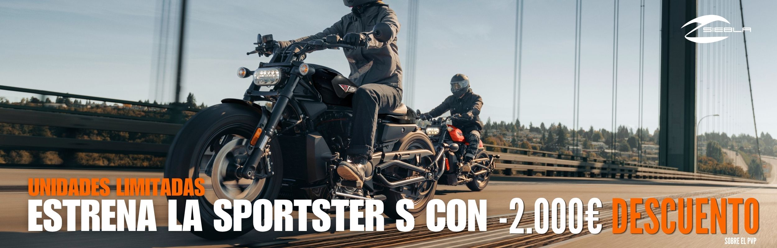 sportster